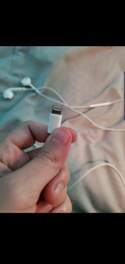 Apple Earphones