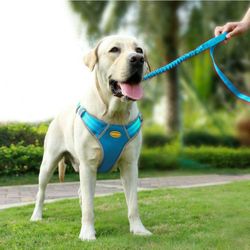 AdventureMore Dog Harness Leash Set 2XL