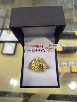 Horse Ring 14k size 12.5