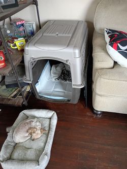 Large dog carrier