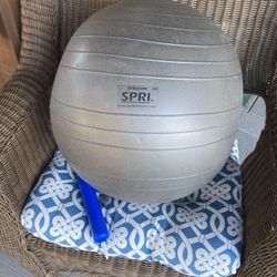 SPRI Exercise Ball Plus Pump