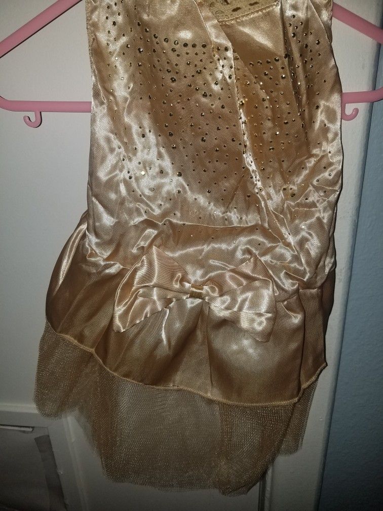 Gold Fancy dog Dress