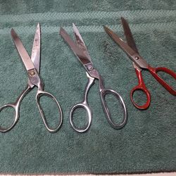 Three Pairs Of Scissors 