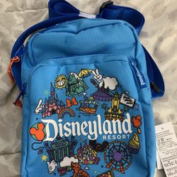 Disneyland Park Bag