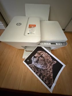 HP DeskJet 4155e Wireless All-in-One Printer