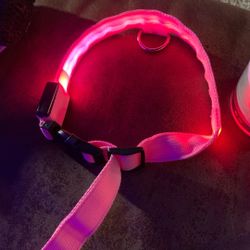 Led Light Up Pink Dog Collar (XL)