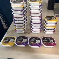 Cesar Dog Food Not Opened  49 Of Them Take All $ 25 