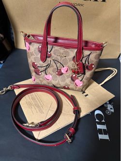 Coach  🍒 purse