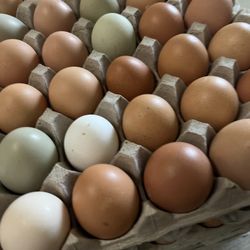 Fresh Eggs Unrefrigerated And Unwashed