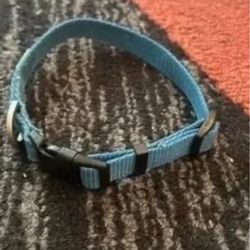 Small dog collar
