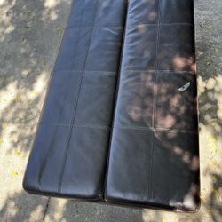 Couch / Pull Out Bed 