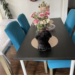 IKEA Table (29 inches x59 inches )