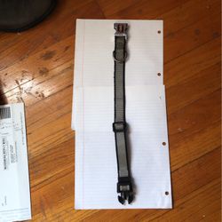 Kong Dog Collar - Stainless Steel Clasp