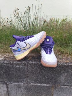 Nike Zoom LeBron NXXT Genisus