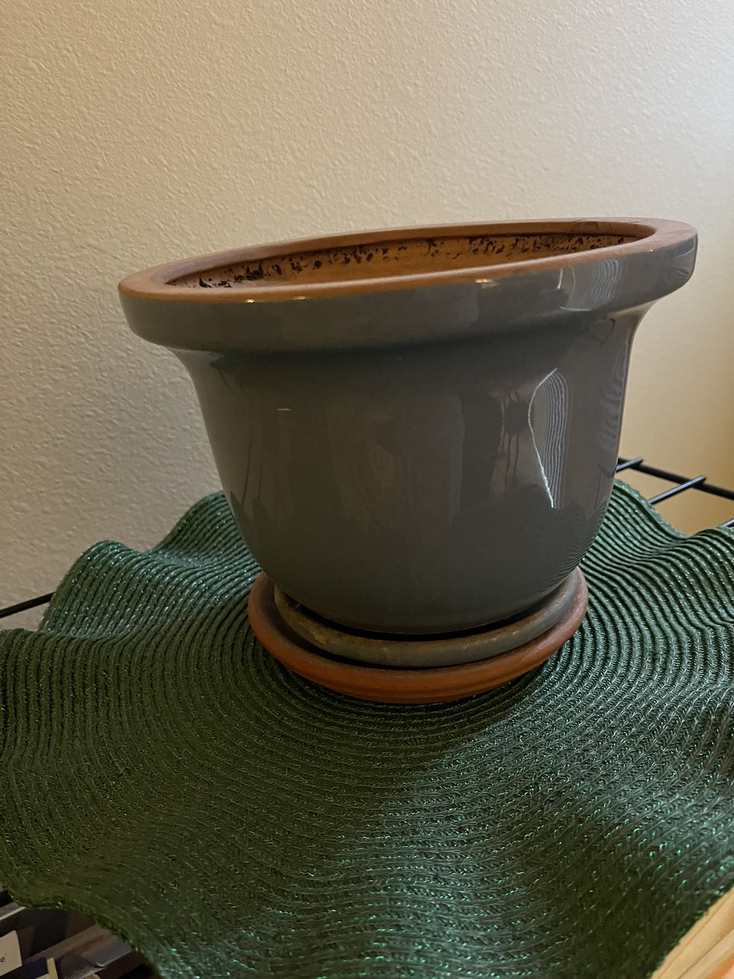 Plant Pot