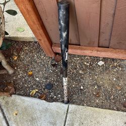 Baum bat