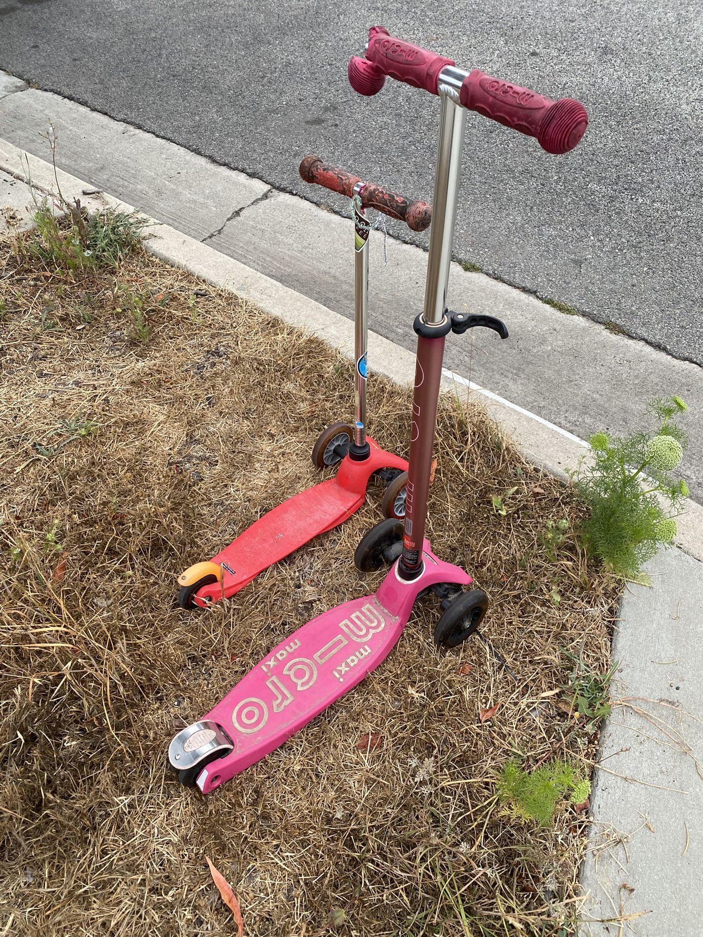 Micro Scooter- 3 Wheel Little Kids - Free!