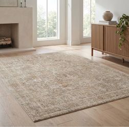 Surya Somerset Area Rug 7’10” × 10’ – Like New – $99