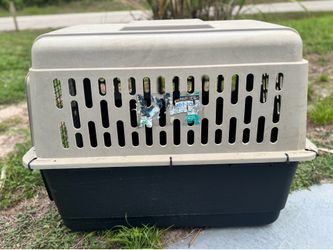 Dog Kennel