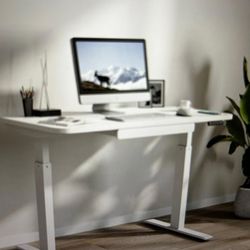 White standing Desk 