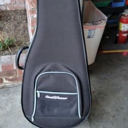 Guitar Case
