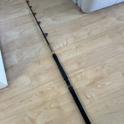 Shimano SBW fishing pole rod
