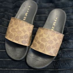 Coach Slides 