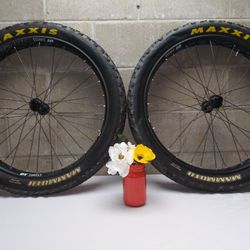 DT Swiss BR 2250 26 x 4 front and rear fat tire wheels