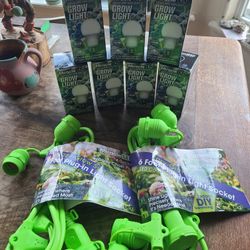 Miracle LED Lights With Extension Cord