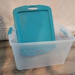 Large Clear Storage Tub