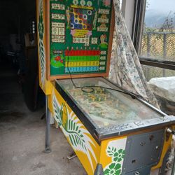 Pin Ball 