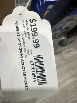 Segway Ninebot Electric Scooter