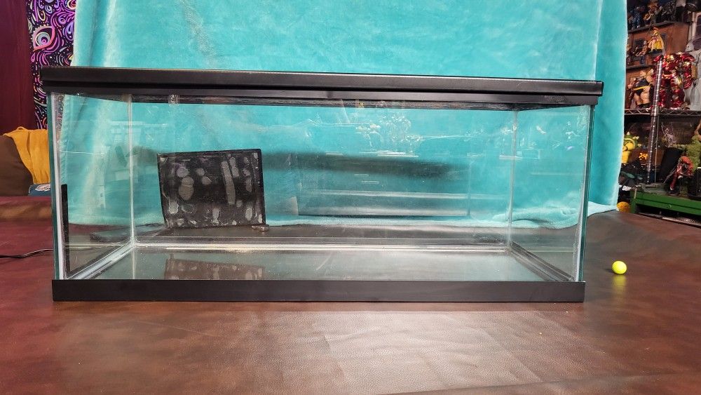 20 Gal Aquarium 