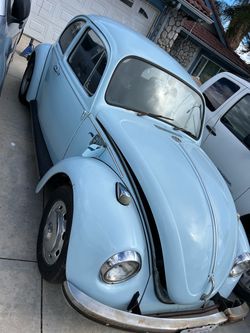 Volks wagon bug 1969