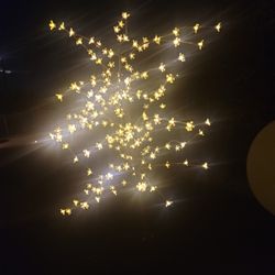Light Up Flower Decor