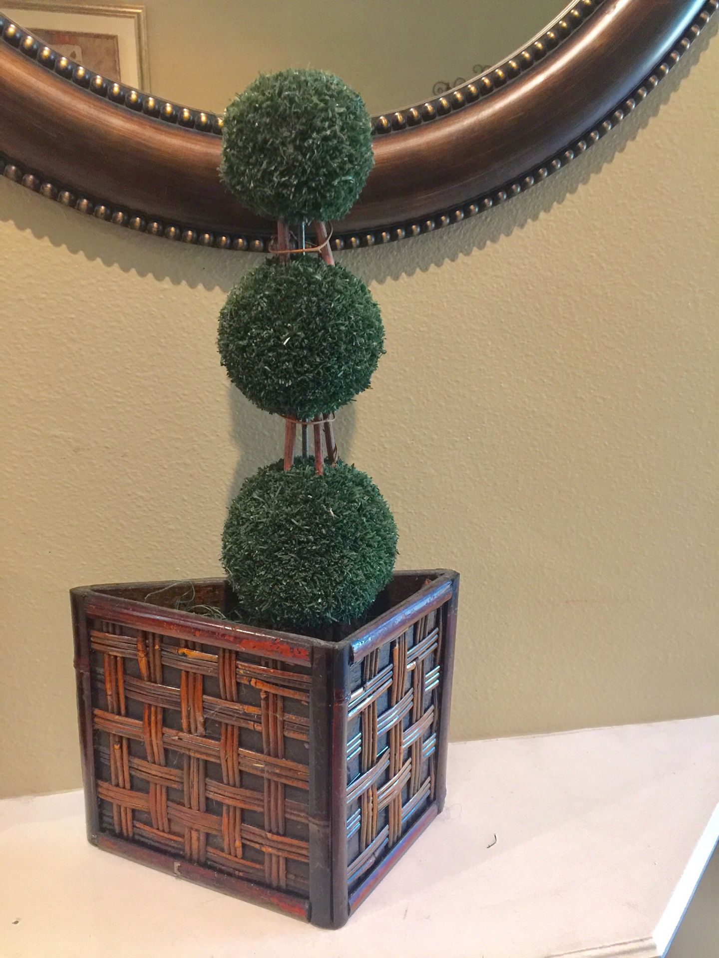 21 Inch Topiary Plant