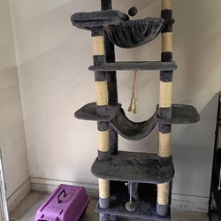 Cat  Tower And Cat Cage And Some Cat Stuff Cat Litter 