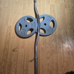 WEIGHTS 25LB EACH X2 W BAR