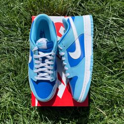 Nike Dunk Low Argon