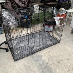 Dog Case $15 And $10