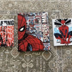Spider-Man Picture Frames 