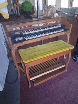 Organ