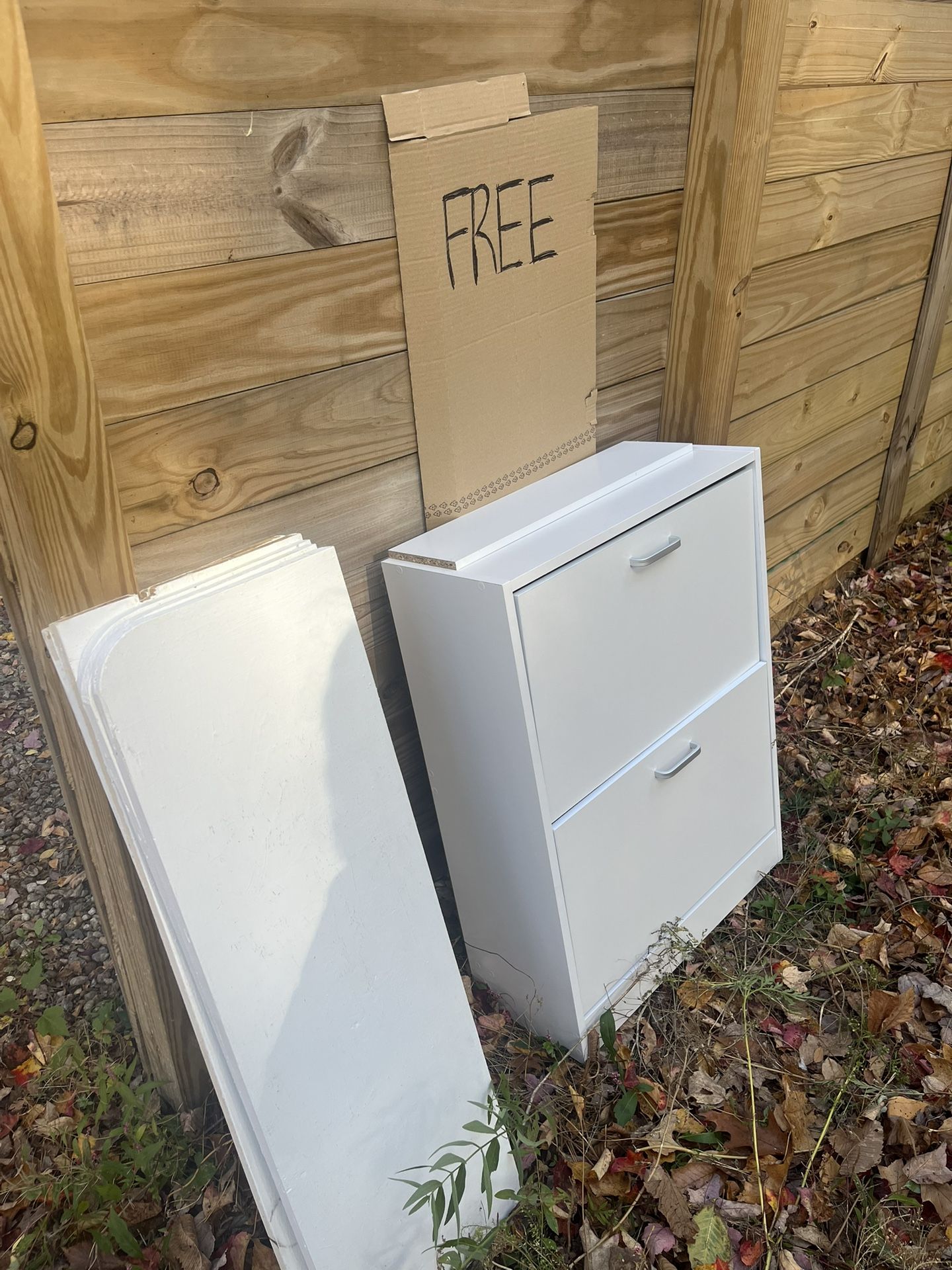 Free shoe cabinet & shelves 
