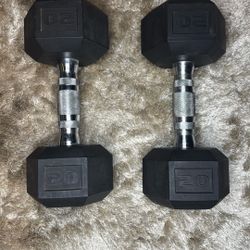 Dumbbell Set 20 Pounds Lbs (2)