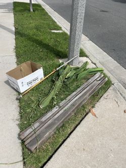 Free Gardening Items
