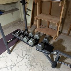 At Home Gym Workout Bench And Weights 