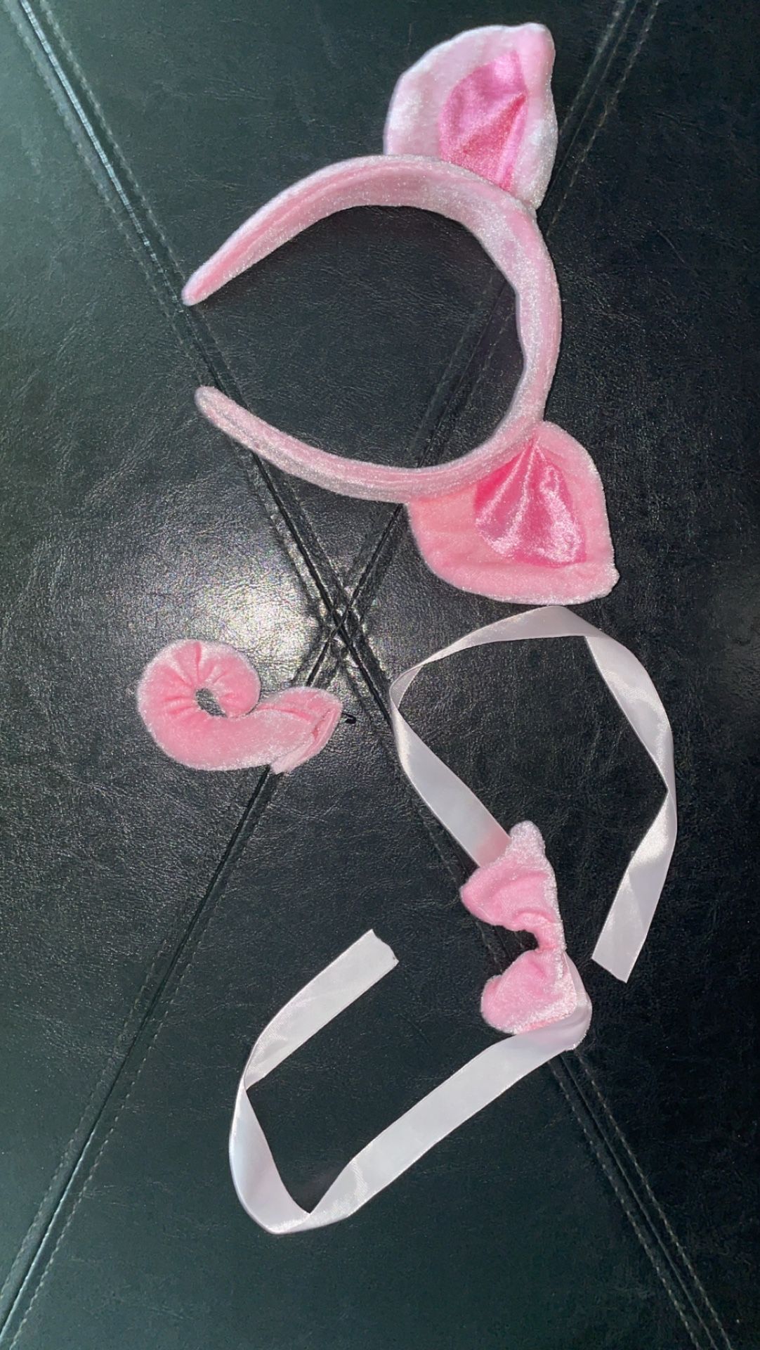 Costume Pig Accesories