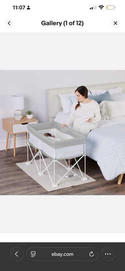 Regalo Bassinet