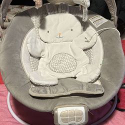 Baby Bouncer 