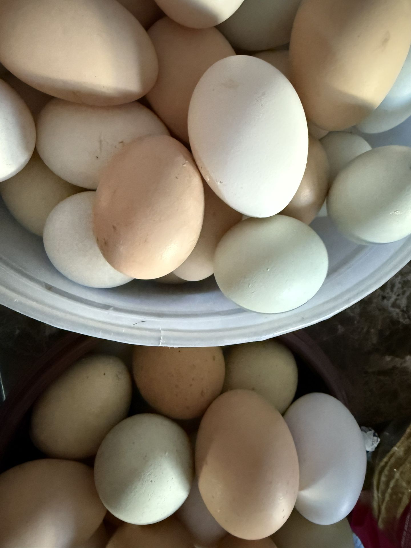 CHICKEN ORGANIC EGGS